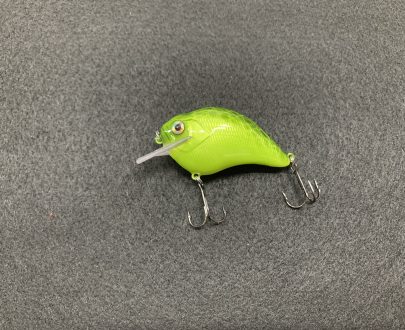 mossback