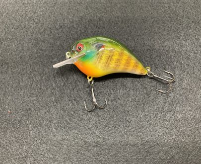 my gill