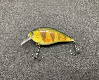 Yellow Perch