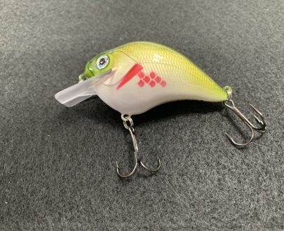 bleeding olive shiner