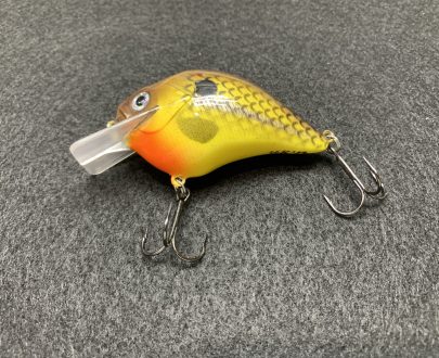 hot mustard shad